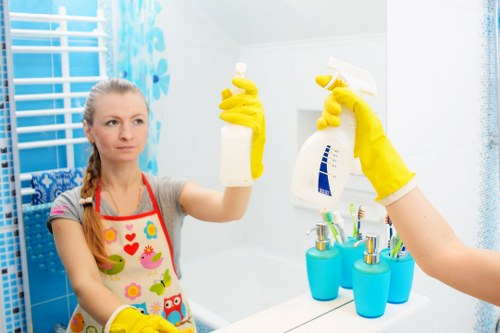 Carpet cleaning terms and conditions introduction