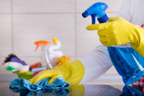 Professional pet stain odour removal in Clapham for carpets