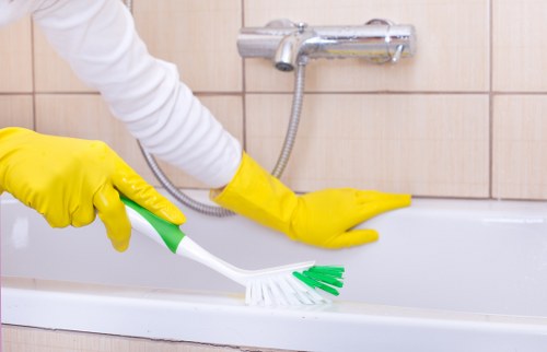 Enzymatic cleaning for pet odour treatment in Clapham