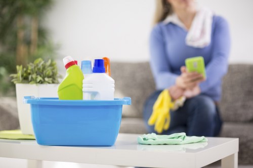 Clapham carpet cleaners restoring a carpet in a bright household room