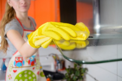 Upholstery pet stain odour removal service in Clapham