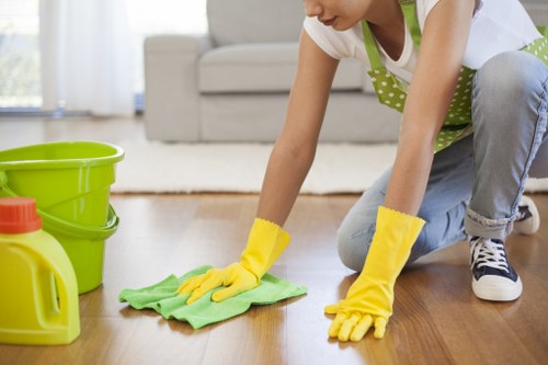Specialist rug cleaning equipment used for deep cleaning in Clapham